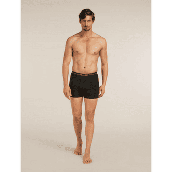 Caleçons Icebreaker Merino 150 Anatomica Boxers Men BLACK