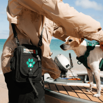 Trousse de premiers secours Survival Survival First Aid Kit Pet