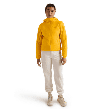 Veste Arcteryx Atom Hoody Women Pineberry