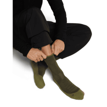 Chaussettes Icebreaker Merino Hike+ Heavy Crew Men DK LODEN/SPHAGNUM