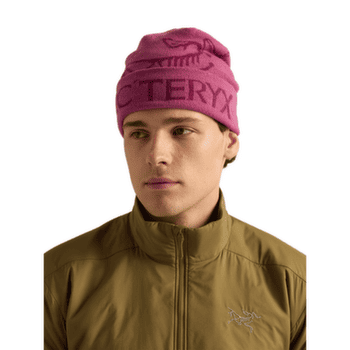 Casquettes Arcteryx Bird Word Toque Orca