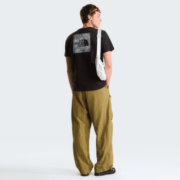 T-shirt a manches courtes The North Face BOX NSE CELEBRATION REGULAR SHORT SLEEVE MEN NEW TAUPE GREEN
