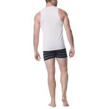 Débardeur Icebreaker Anatomica Tank Men (103034) UNDYED