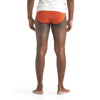 Caleçons Icebreaker Anatomica Briefs Men (103031) Black/Monsoon
