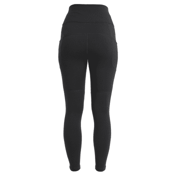 Leggings Icebreaker Merino Speed Winter Tights Women Black