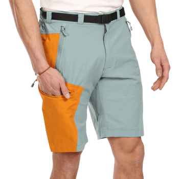 Shorts Direct Alpine VULCAN Short stone/navy