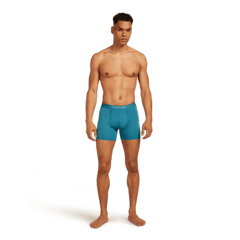 Caleçons Icebreaker Anatomica Boxer Men LICHEN/DK LODEN/S