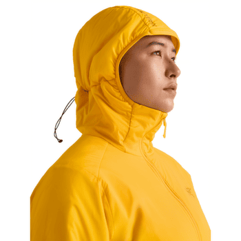 Veste Arcteryx Atom Hoody Women Pineberry