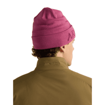 Casquettes Arcteryx Bird Word Toque Orca