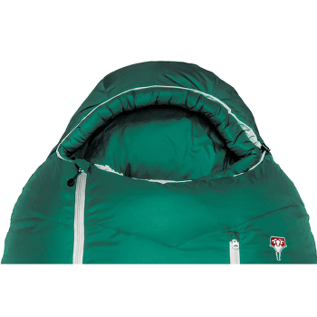 Sac de couchage Grüezi bag Biopod DownWool Subzero Pine Green