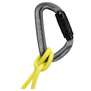 Mousqueton Mammut Sender Twistlock Carabiner Grey 1602