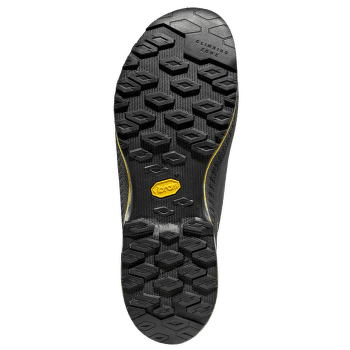 Chaussures La Sportiva TX4 Evo GTX Carbon/Bamboo