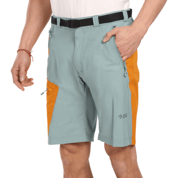 Shorts Direct Alpine VULCAN Short stone/navy
