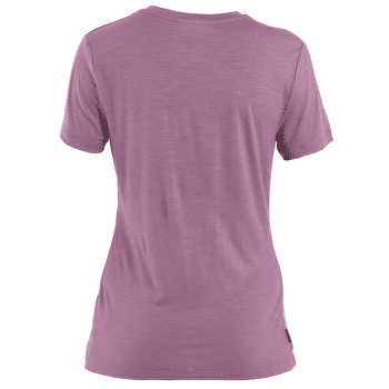 T-shirt a manches courtes Icebreaker Merino 150 Tech Lite SS Tee Southern Constellation Women DECO