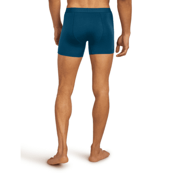 Caleçons Icebreaker Merino 125 Anatomica Cool-Lite Boxers Men Midnight Navy