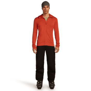 Sweat-shirt Icebreaker Merino 260 Quantum IV LS Zip Hoodie Men ATLANTIS