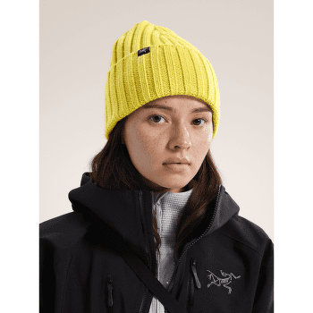 Casquettes Arcteryx Chunky Ribbed Toque Sea Salt / Moonstone