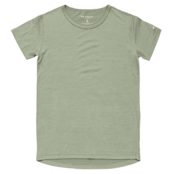 T-shirt a manches courtes Devold Breeze Plus Merino 200 T-Shirt Women FOG