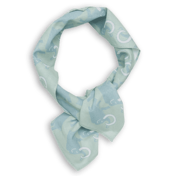 Écharpe Mammut Mammut Bandana nebla-silver sage
