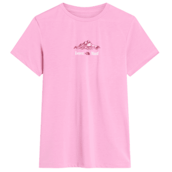 T-shirt a manches courtes The North Face FOUNDATION SHORT SLEEVES T-SHIRT-GRAPHIC WOMEN G6E HUSHED LAVENDER