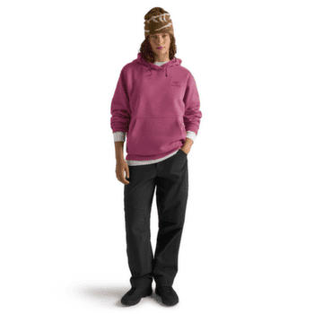 Sweat-shirt Arcteryx Emblem Fleece Hoody Women Lt Renegade