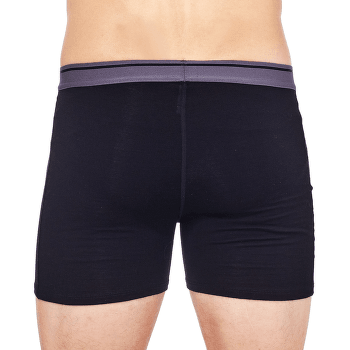 Caleçons Icebreaker Anatomica Boxers Men (103030) DK LODEN
