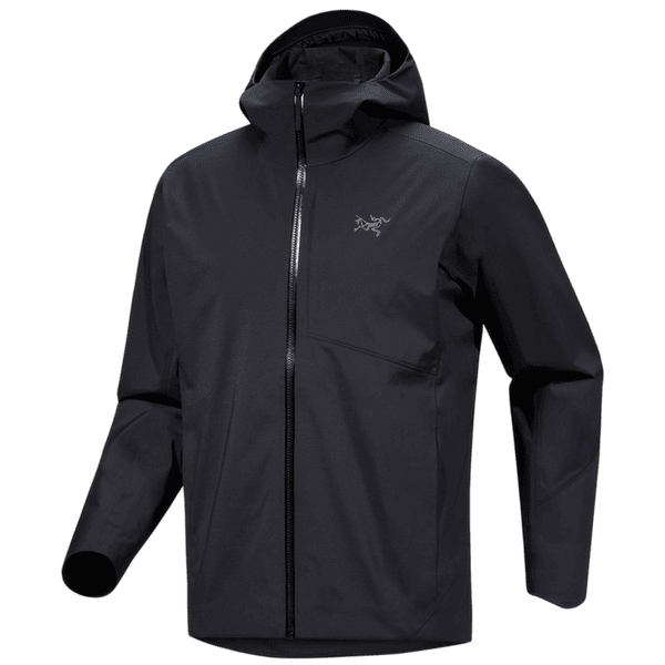 Sweat-shirt Arcteryx Sawyer Wool Hoody Men Black