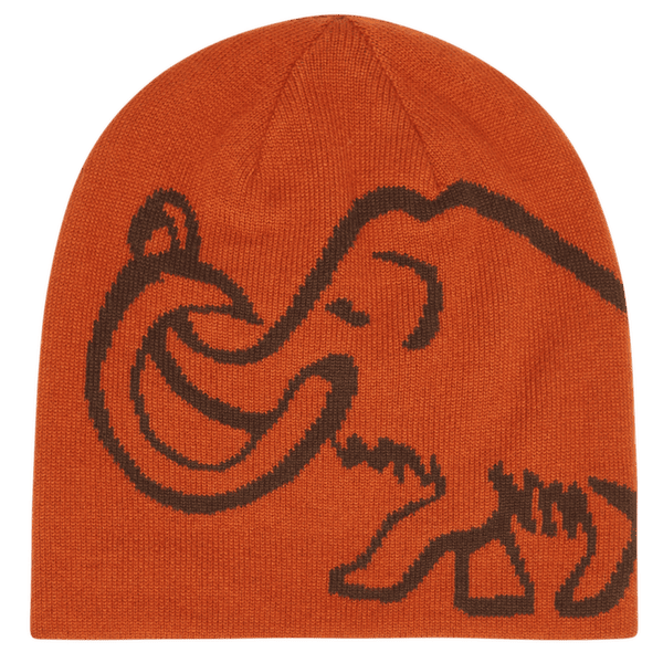 Casquettes Mammut Mammut Logo Beanie Reversible autumn larice-soil