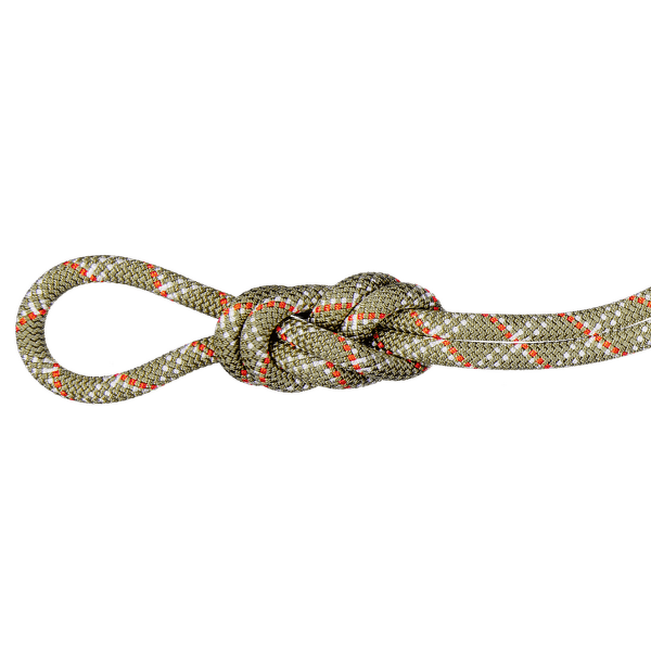 Corde Mammut 9.5 Gym Classic Rope 40303 boa-white