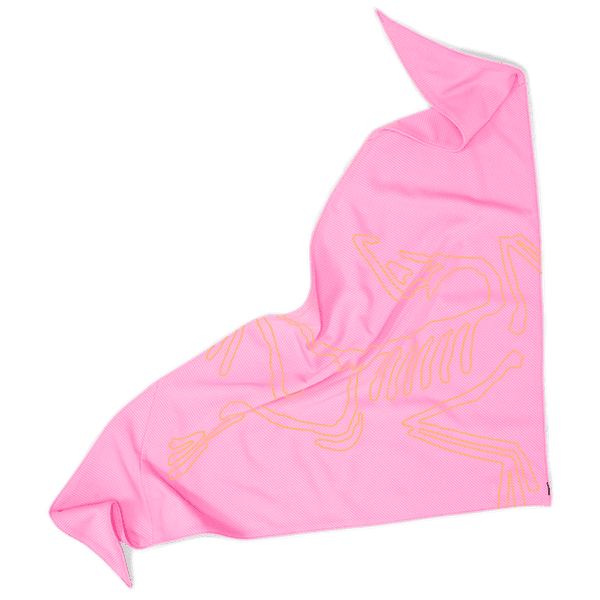 Écharpe Arcteryx Sinsolo Bandana Pineberry
