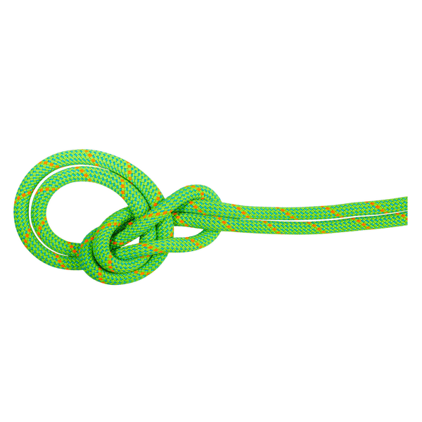 Corde Mammut 9.5 Crag Eco Dry Rope 40315 neon green-ocean