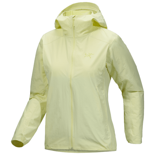 Veste Arcteryx Gamma Lightweight Hoody Women Ray