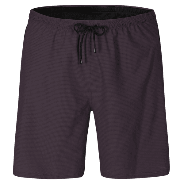 Shorts Direct Alpine Sprint Shorts Men anthracite