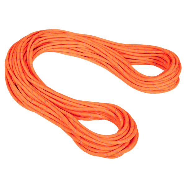 Corde Mammut 9.5 Alpine Dry Dry Standard 11256
