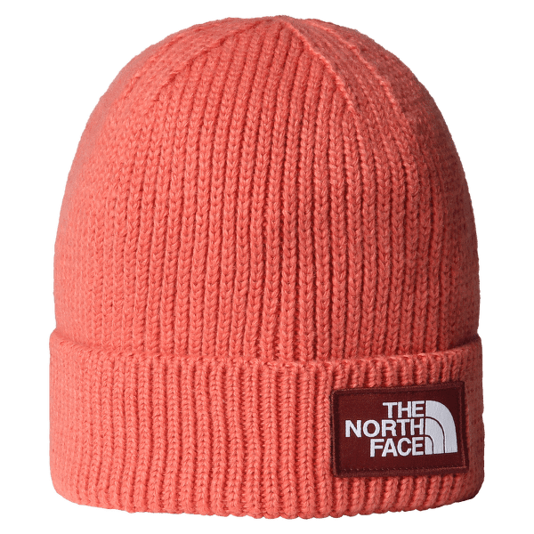 Casquettes The North Face TNF LOGO BOX CUFFED BEANIE EED MARS DUST/SUMAC
