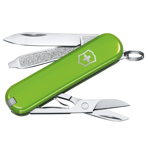 Couteau Victorinox Classic SD Colors Smashed Avocado