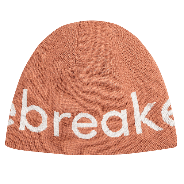 Casquettes Icebreaker Merino Icebreaker Beanie CEDAR WOOD/ECRU HTHR
