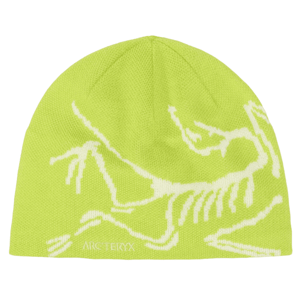 Casquettes Arcteryx Bird Head Toque Mantis / Arctic Silk