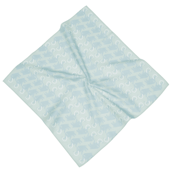 Écharpe Mammut Mammut Bandana nebla-silver sage