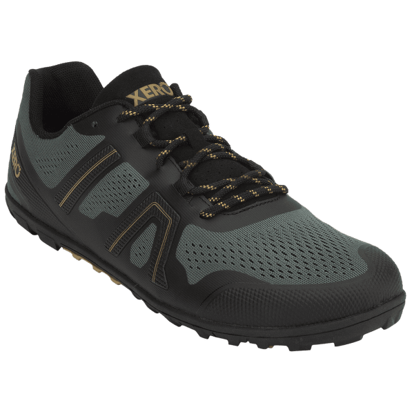 Chaussures Xero Mesa Trail II Men Forest