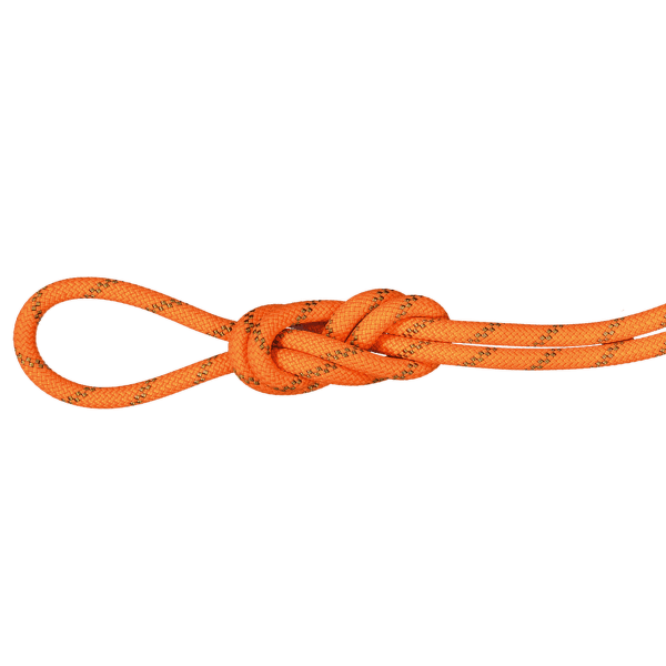 Corde Mammut 8.0 Alpine Dry Rope Safety orange-boa 11238