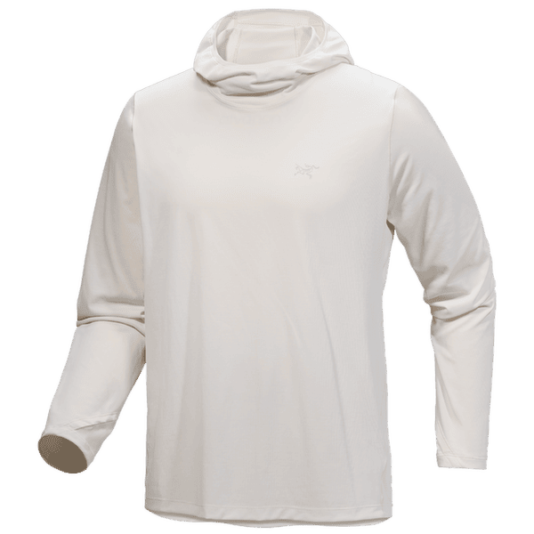 Sweat-shirt Arcteryx Cormac Hoody Men Arctic Silk