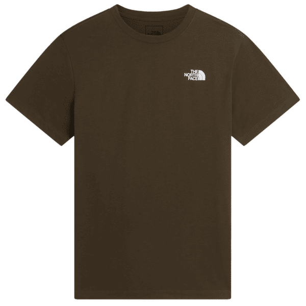 T-shirt a manches courtes The North Face BOX NSE CELEBRATION REGULAR SHORT SLEEVE MEN NEW TAUPE GREEN