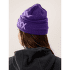 Casquettes Arcteryx Bird Word Toque Alpine Rose / Bliss