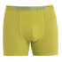 Anatomica Boxer Men BIO LIME