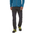 Pantalons Patagonia Terravia Alpine Pants Men Black