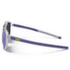 Lunettes Julbo Ward