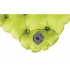 Siege Sea to Summit Air Seat Insul Green (Green)