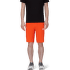 Shorts Mammut Aenergy Light SO Shorts Men 40285 marsh