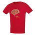 FLASH 5.0 brick (brain)